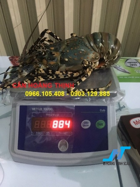Cân điện tử thủy sản cub 7.5kg là cân chuyên dùng cho cân thủy hải sản được Cân Hoàng Thịnh cung cấp hàng chất lượng cao. Liên hệ 0966.105.408 giảm giá ngay 10%