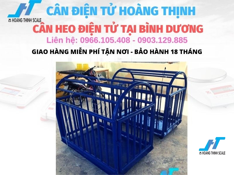 Cân heo điện tử được Cân Hoàng Thịnh cung cấp ở tại Bình Dương loại 500kg 1 tấn 2 tấn, giao hàng miễn phí tận nơi, mua can heo dien tu chất lượng tốt nhất liên hệ 0966.105.408