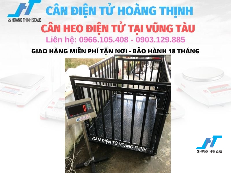 Cân lồng heo điện tử tại Vũng Tàu được Cân Hoàng Thịnh cung cấp loại 500kg 1 tấn 2 tấn, cân lồng heo 1 con 2 con 3 con 5 con chất lượng tốt nhất gọi 0966.105.408