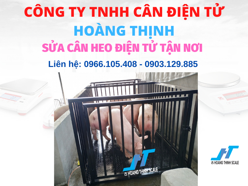 Sửa cân heo điện tử tận nơi cho khách hàng, quý anh chị cần tìm đơn vị sửa cân heo uy tín nhanh chóng giá rẻ liên hệ 0966.105.408