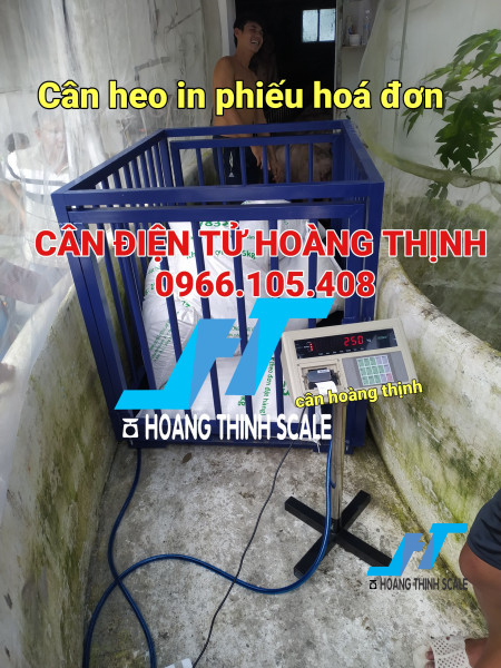 Cân xuất heo A9 in phiếu