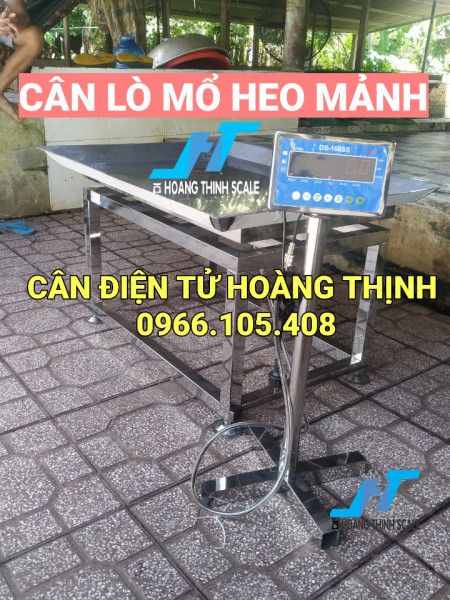 Cân lò mổ heo mảnh chất lượng GIÁ TỐT tại CÂN ĐIỆN TỬ HOÀNG THỊNH, cân thiết kế inox chống nước 100kg 200kg 300kg 500kg 1 tấn 2 tấn