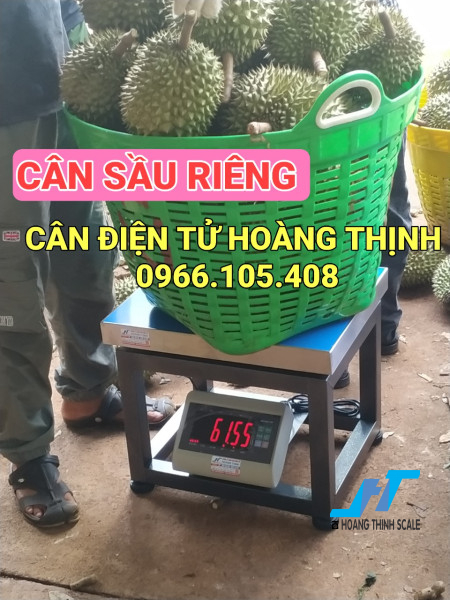 Cân điện tử cân sầu riêng tại CÂN ĐIỆN TỬ HOÀNG THỊNH