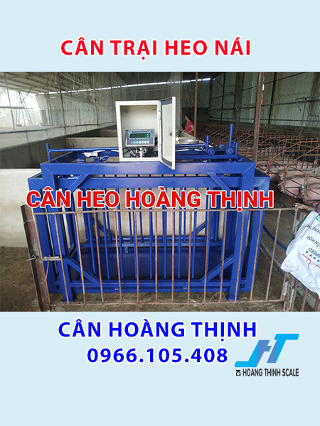 htscale_1743669536_179427_17f70279e2aa0f9a8e883808cb74d03b.jpg