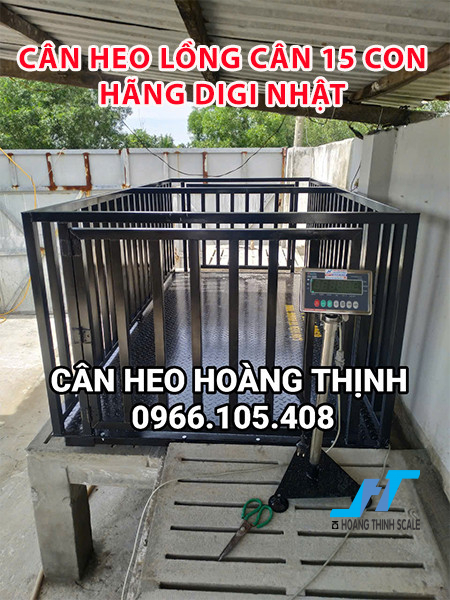 htscale_1743669596_134552_1bbbf672b2e87afde0d9aa8ab301a489.jpg