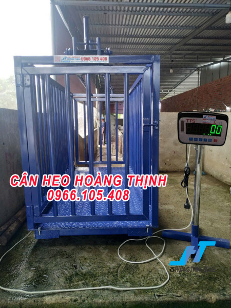 Cân lồng heo TTSE chốt số nhanh và chính xác dành cho các trang trại chăn nuôi heo, liên hệ báo giá cân điện tử 0966.105.408 để được giảm giá lên đến 10%