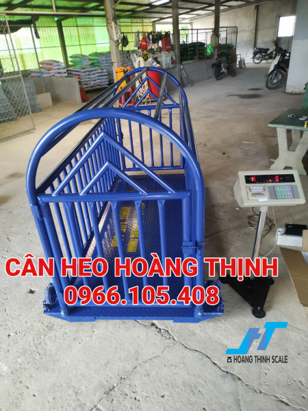 Cân sàn lồng heo in phiếu hóa đơn giúp quản lý được trọng lượng heo nhập vào và xuất ra sau mỗi lần cân, tư vấn báo giá cân điện tử liên hệ 0966.105.408