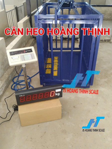 htscale_1752473238_650462_bb70861e1a23ab887fb10670b775583c.jpg
