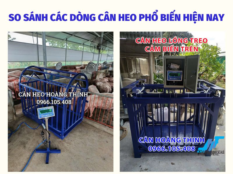 Trên thị trường hiện nay có rất nhiều những mẫu cân heo điện tử, mỗi loại đều có ưu và nhược điểm riêng phù hợp với từng quy mô chăn nuôi, hãy cùng Cân Hoàng Thịnh tìm hiểu ngay