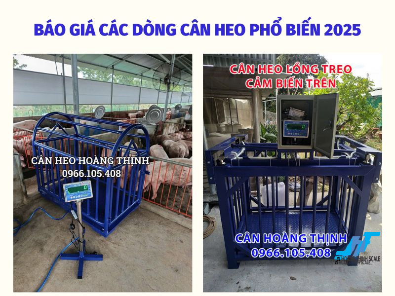 Báo giá chi tiết các dòng cân heo phổ biến nhất năm 2025 giá chỉ từ 10 triệu, liên hệ Cân Hoàng Thịnh 0966.105.408 tư vấn lắp đặt giao cân tận nơi nhanh nhất