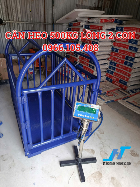 Cân heo 500kg lồng 2 con
