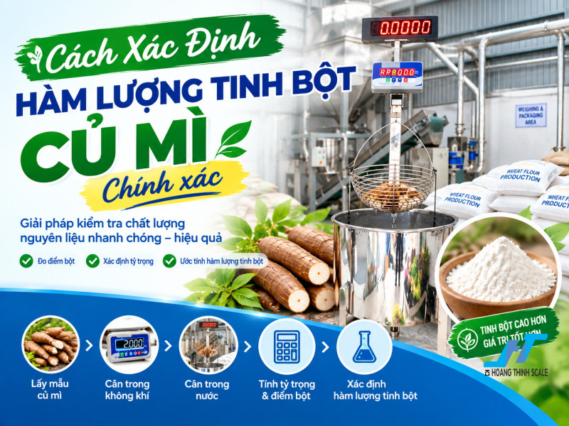 Ứng dụng cân điện tử để xác định hàm lượng tinh bột củ mì, hướng dẫn chi tiết về nguyên lý và cách thực hiện chính xác
